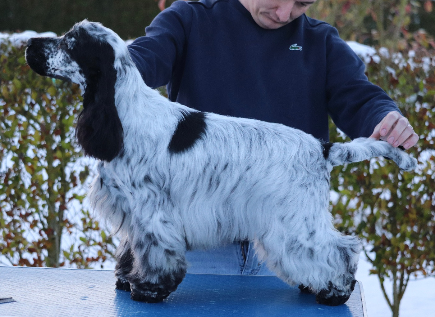 Armani giorgio of Never Say Goodbye