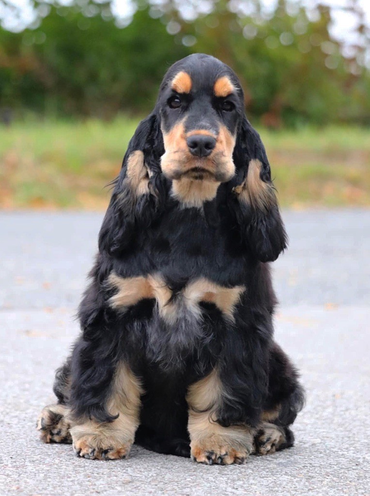 Aqua allegoria of Never Say Goodbye