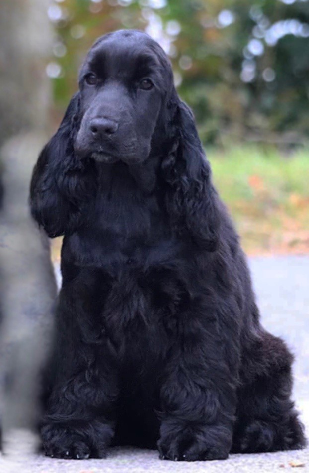 Agathe of Never Say Goodbye