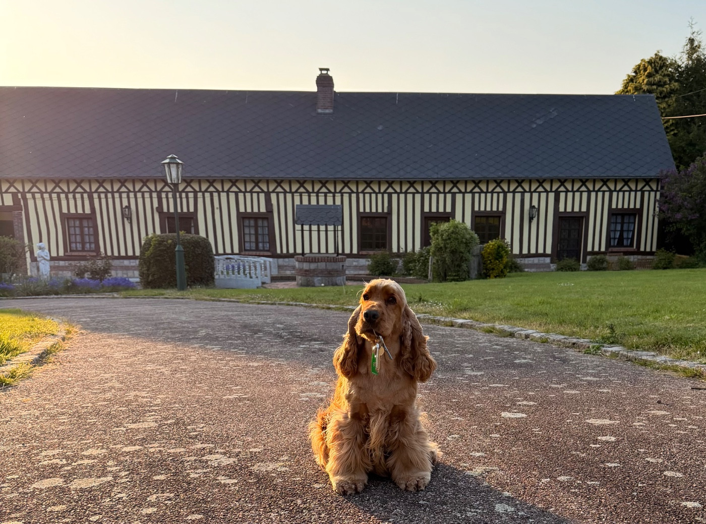Une nouvelle aventure se prépare 🐾