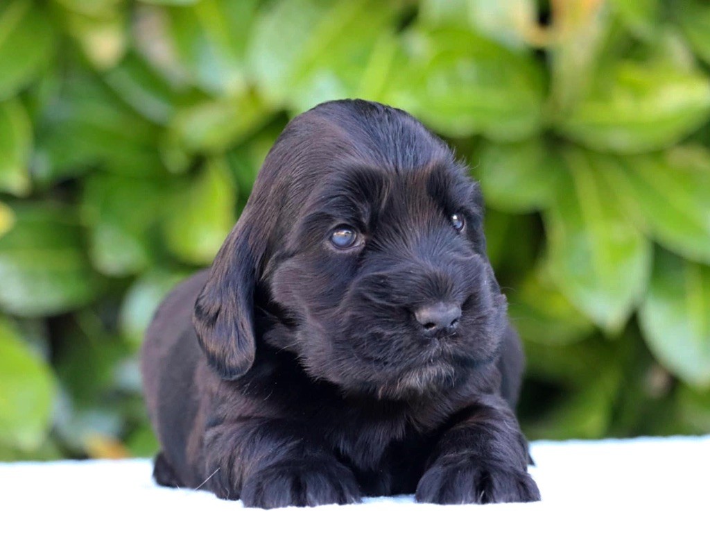 Agathe Of Never Say Goodbye 